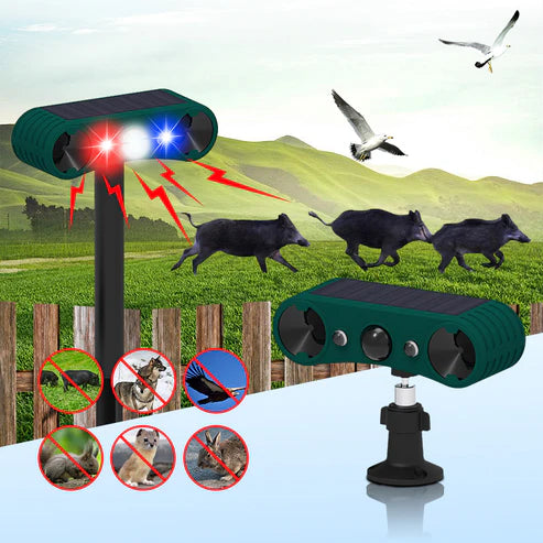 Alarme solaire à détecteur de mouvement pour intérieur et extérieur (Mali)