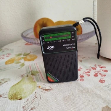 Mini Radio à Bande Complète (Niger)
