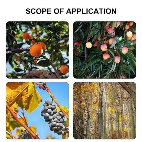 Ciseaux haute hauteur (Mali)