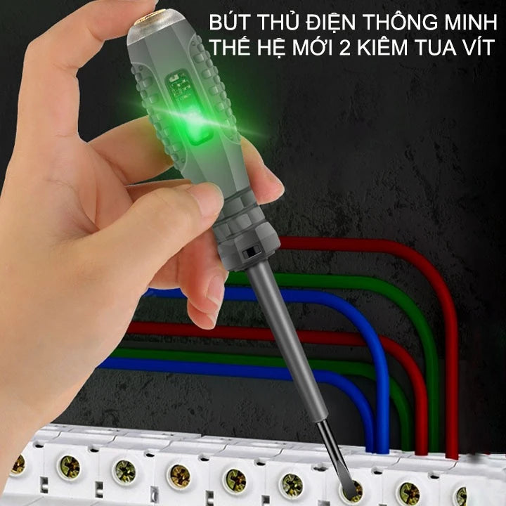 Détecteur de tournevis magnétique (Niger)