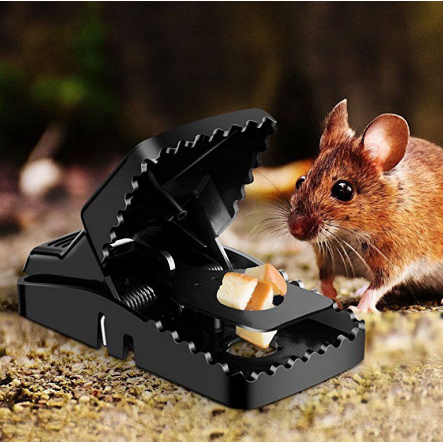 Piège à souris puissant à haute sensibilité (Benin)