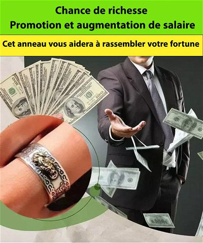 ✅ Anneau de transfert Pixiu - un Porte Bonheur Pour a Richesse 🔥💯 (Niamey)