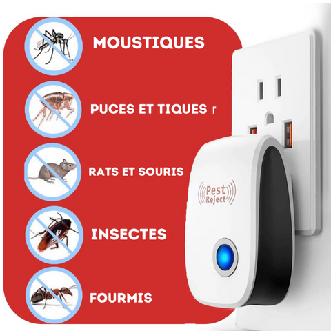 Débarrassez-vous des souris et des insectes facilement (Chad)