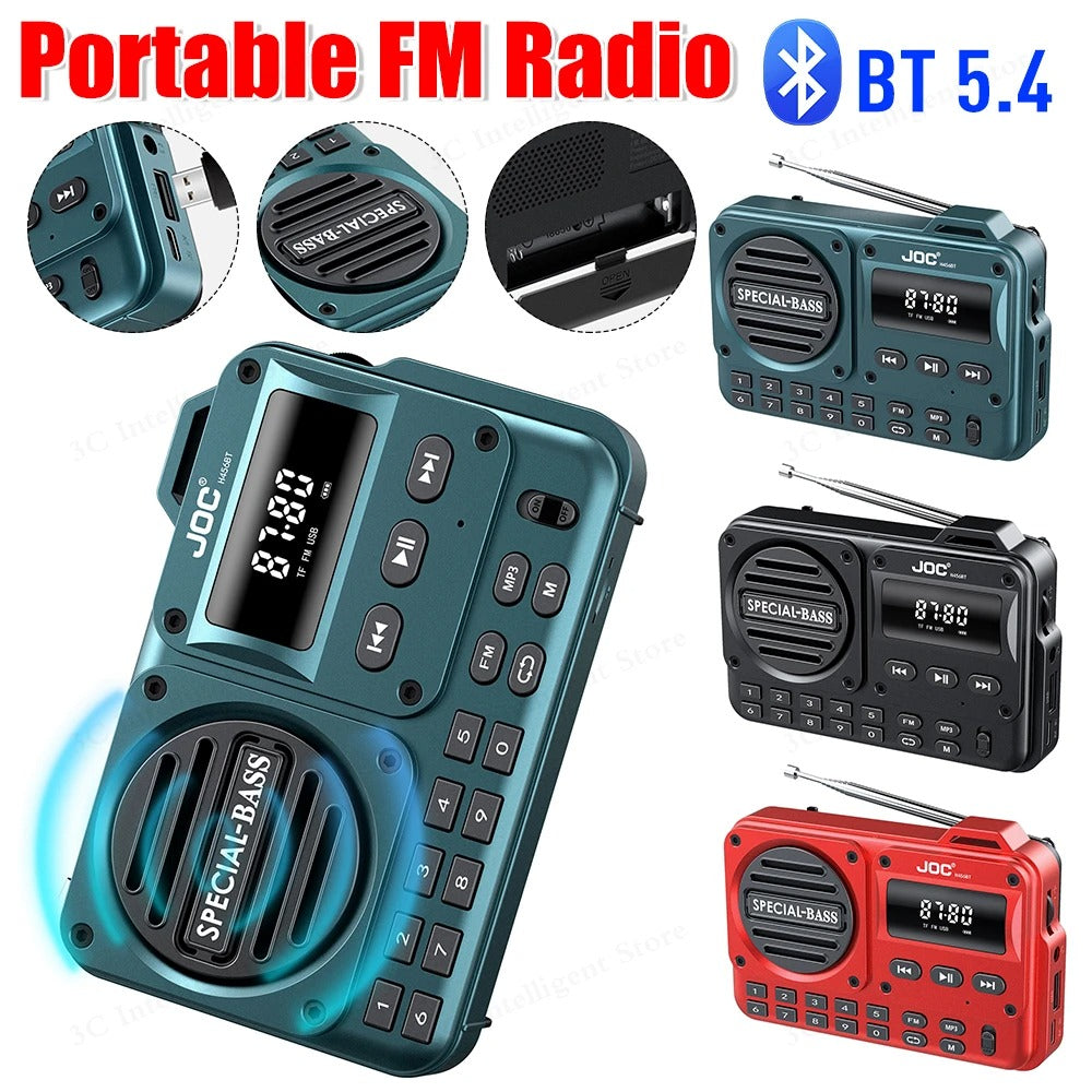 Radio FM portable 4 en 1 (Niger)