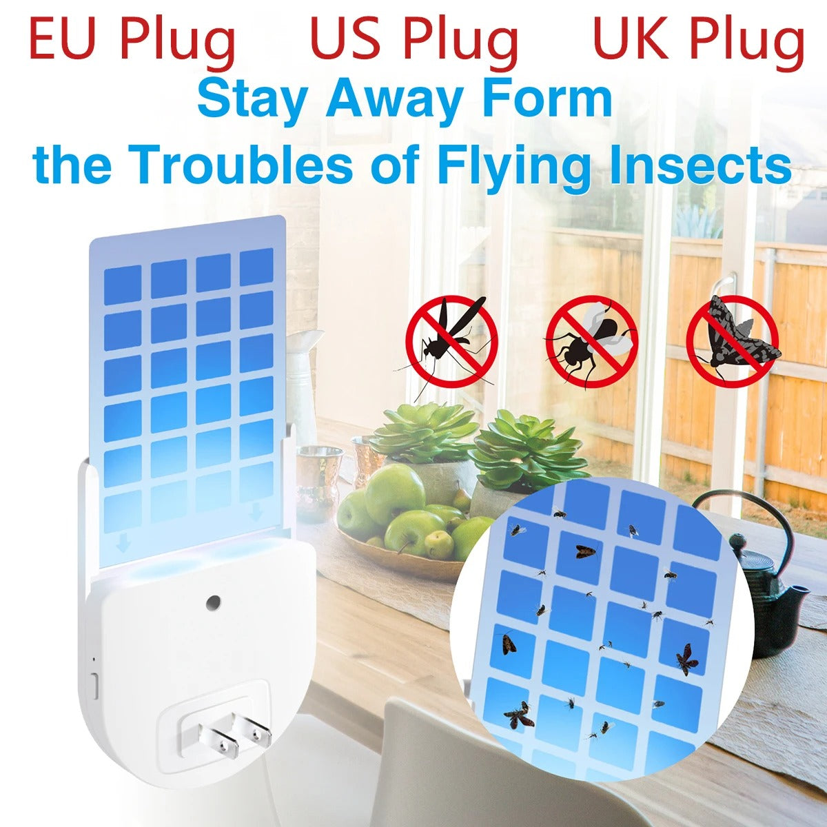 Pièges à mouches pour usage intérieur (Cameroun)