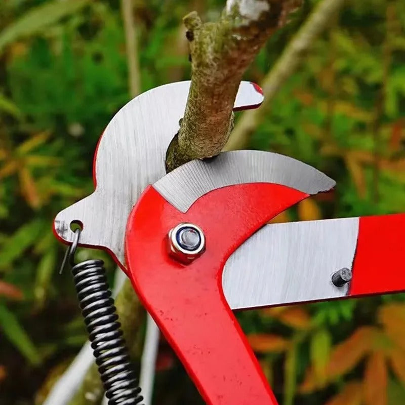 Ciseaux haute hauteur (Côte d'Ivoire)