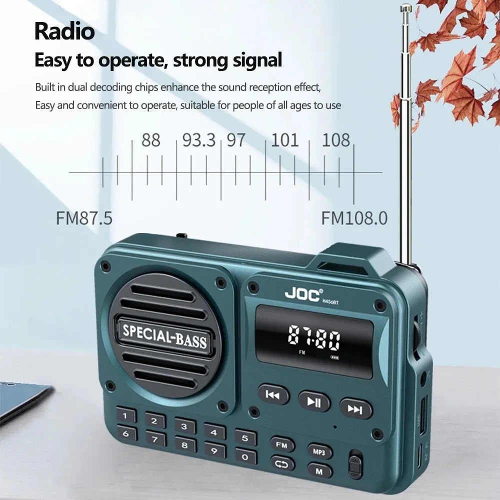 Radio FM portable 4 en 1 (Niger)