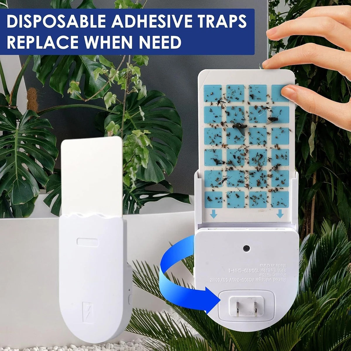 Pièges à mouches pour usage intérieur (Cameroun)