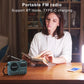 Radio FM portable 4 en 1 (Niger)
